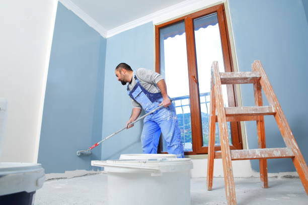 Best Crawl Space Mold Remediation  in Lapwai, ID
