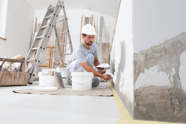 Best Commercial Mold Inspection  in Lapwai, ID