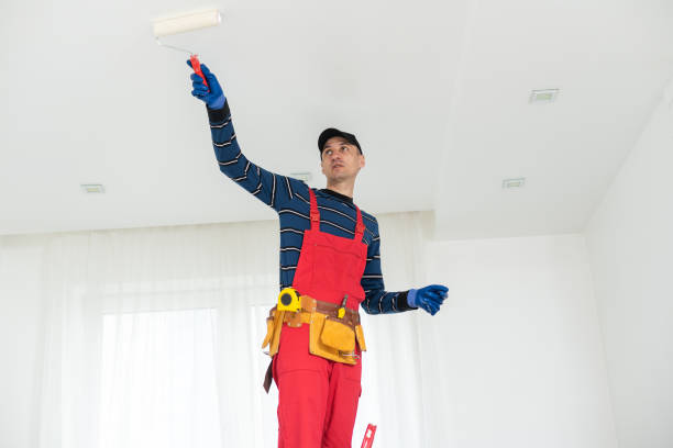 Best Mold Remediation for Vacation Homes  in Lapwai, ID