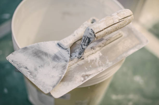Best Airborne Mold Testing  in Lapwai, ID